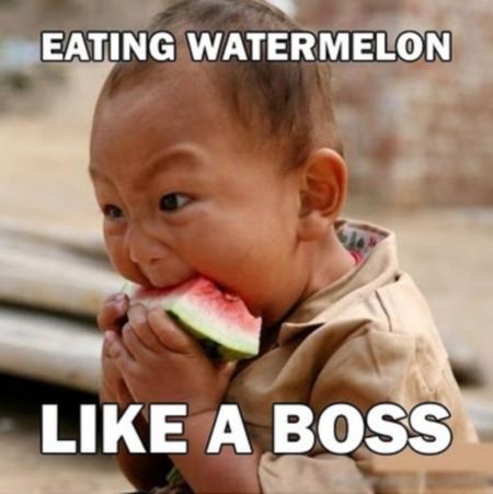 Eating Watermelon Like Boss Funny Picture