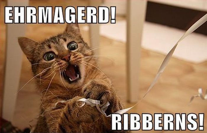 Ehrmagerd Ribberns Funny Cat Meme