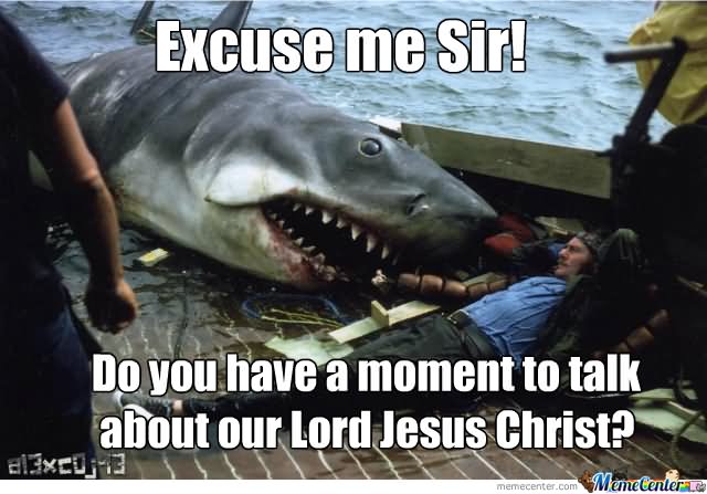 Excuse Me Sir Funny Shark Meme