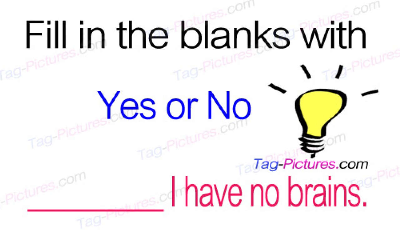 Fill In The Blanks With Yes Or No I Have No Brains Funny Question