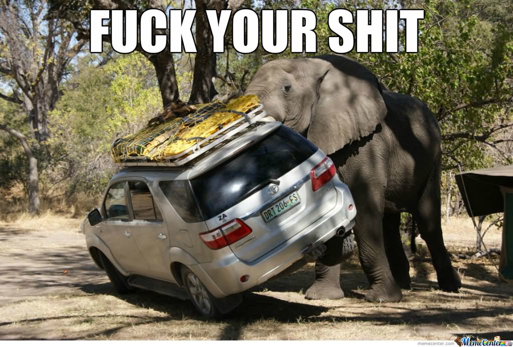 Fuck Your Shit Funny Elephant Meme