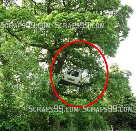 Funny Car Accident On Tree In India