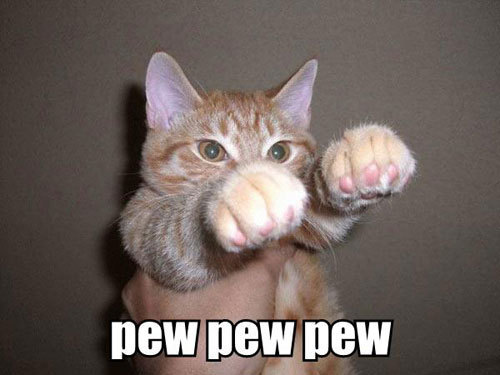 Funny Cat Fighting Image
