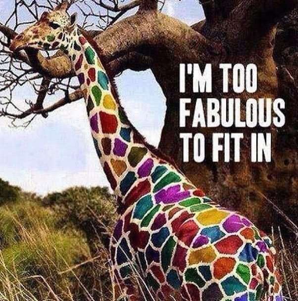 Funny Colorful Giraffe Image