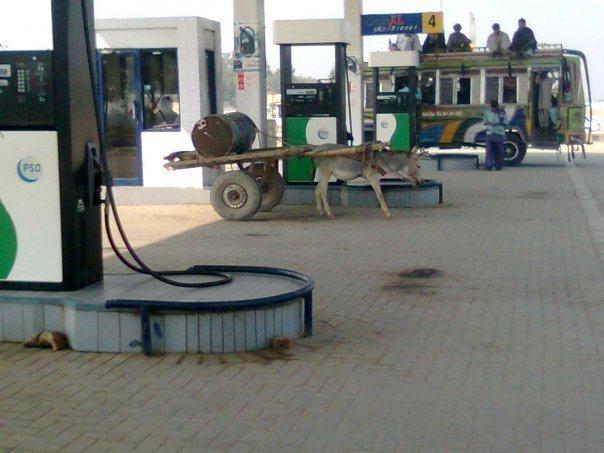 Funny Donkey Cart On Petrol Pump