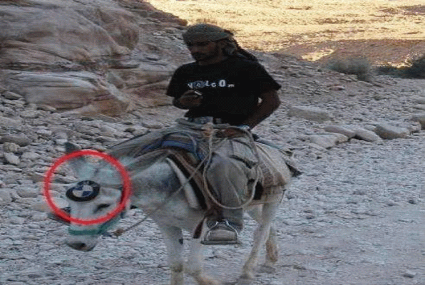 Funny Donkey With BMW Logo