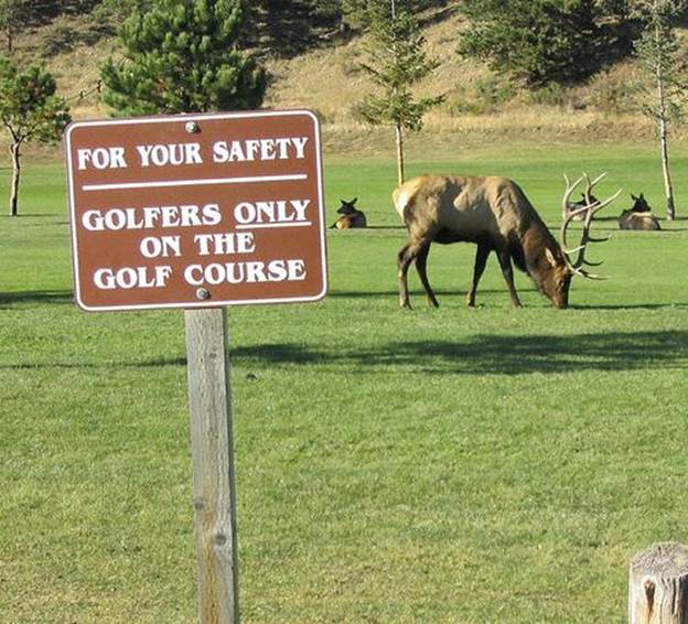 Funny Golf Safety Board
