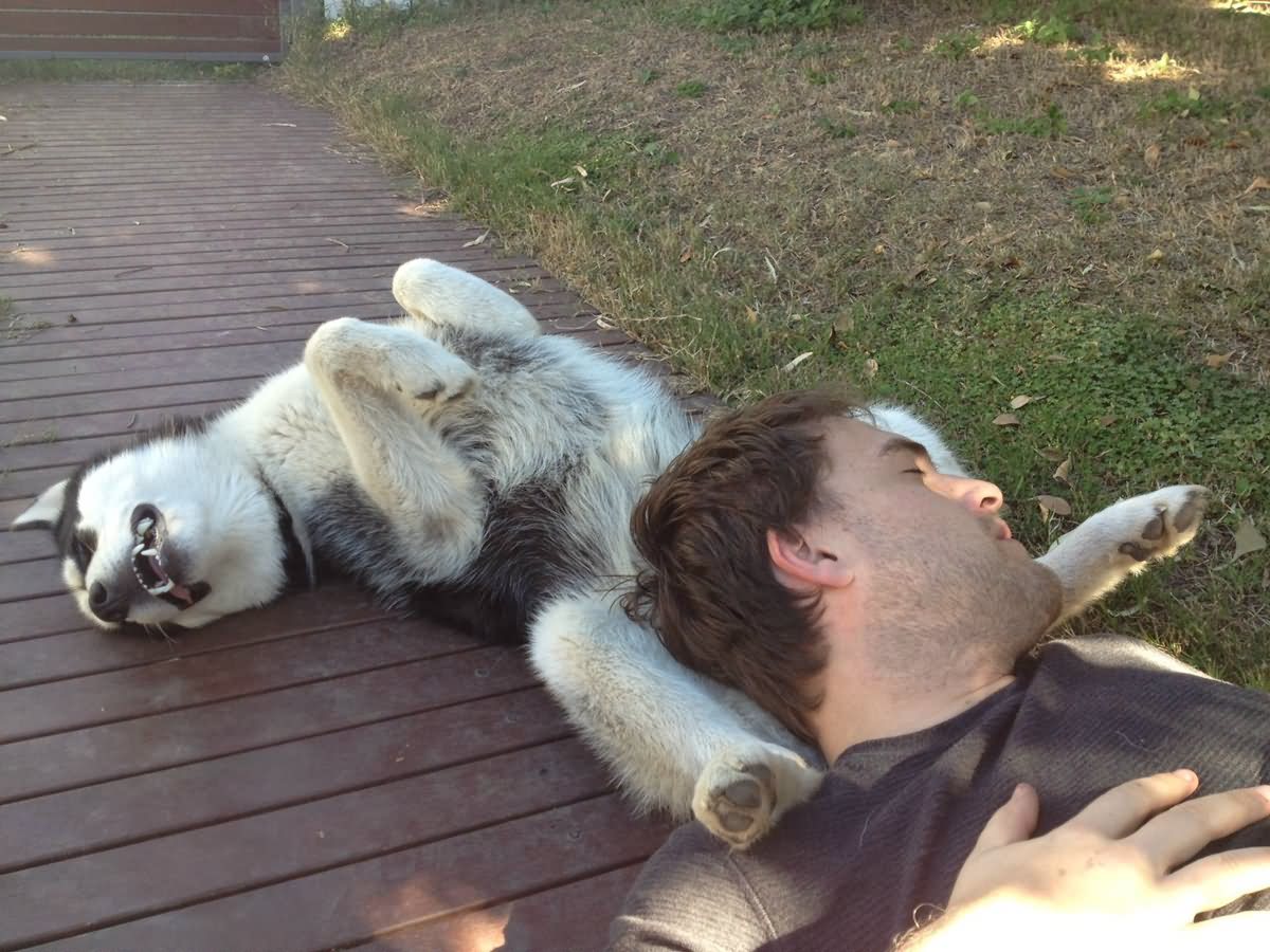 Funny Man And Animal In Awkward Position Sleeping