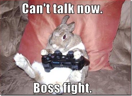Funny Rabbit Playing Games