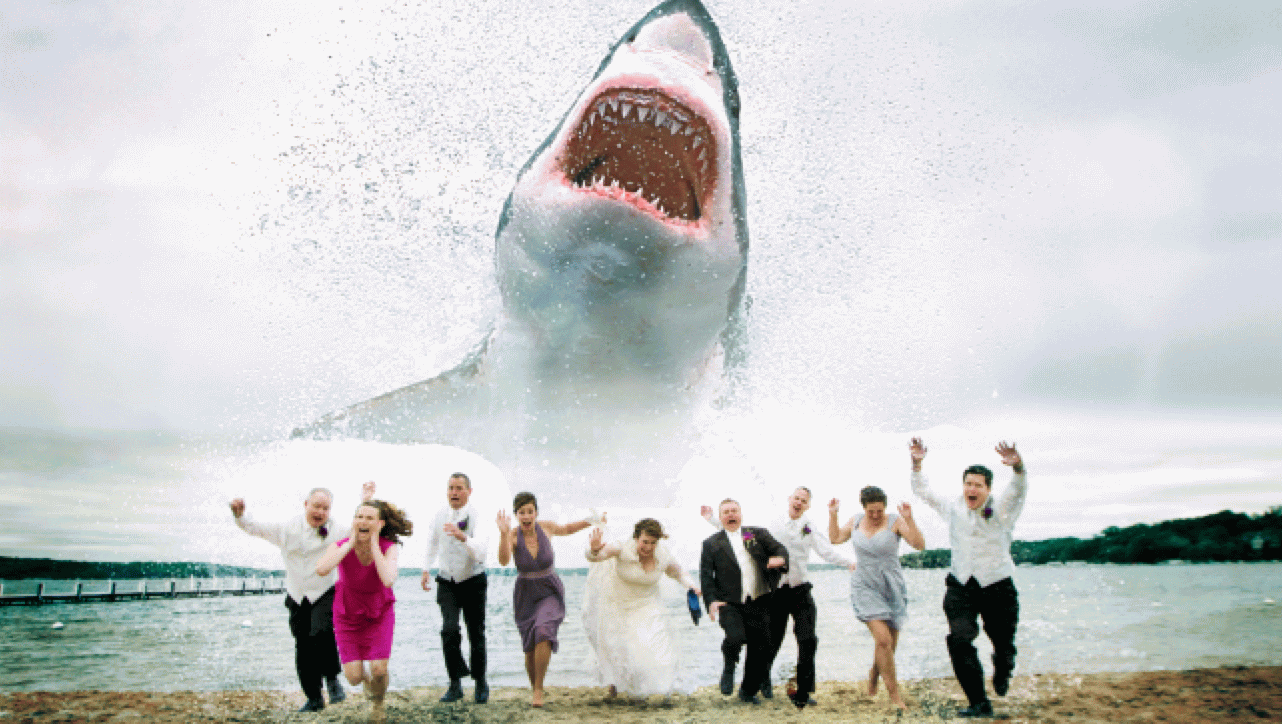 Funny Shark Attack Animated Picture