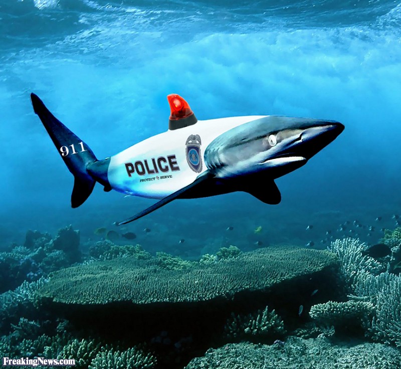 Funny Shark Police Patrol