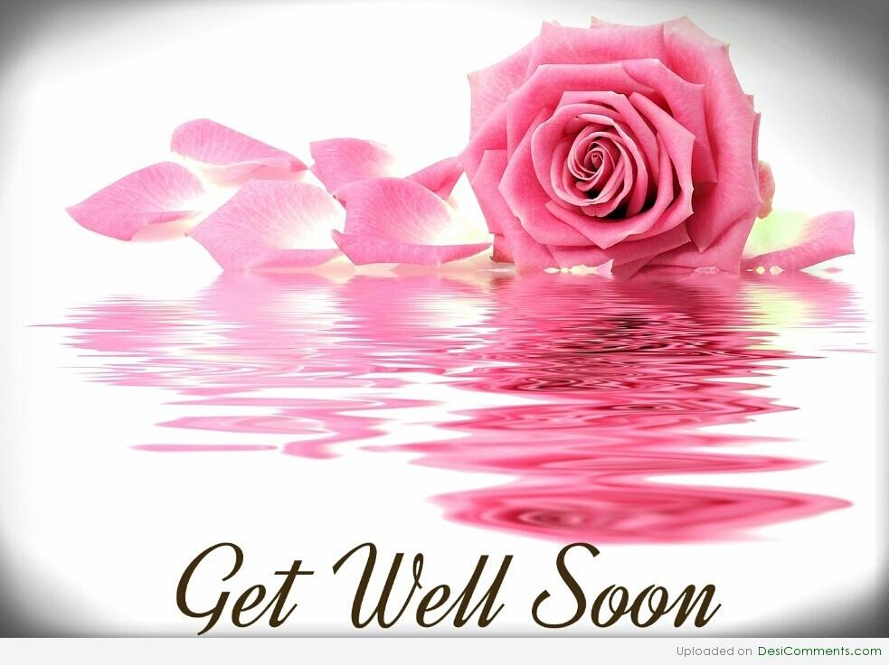 Get Well Soon Rose Flower Picture
