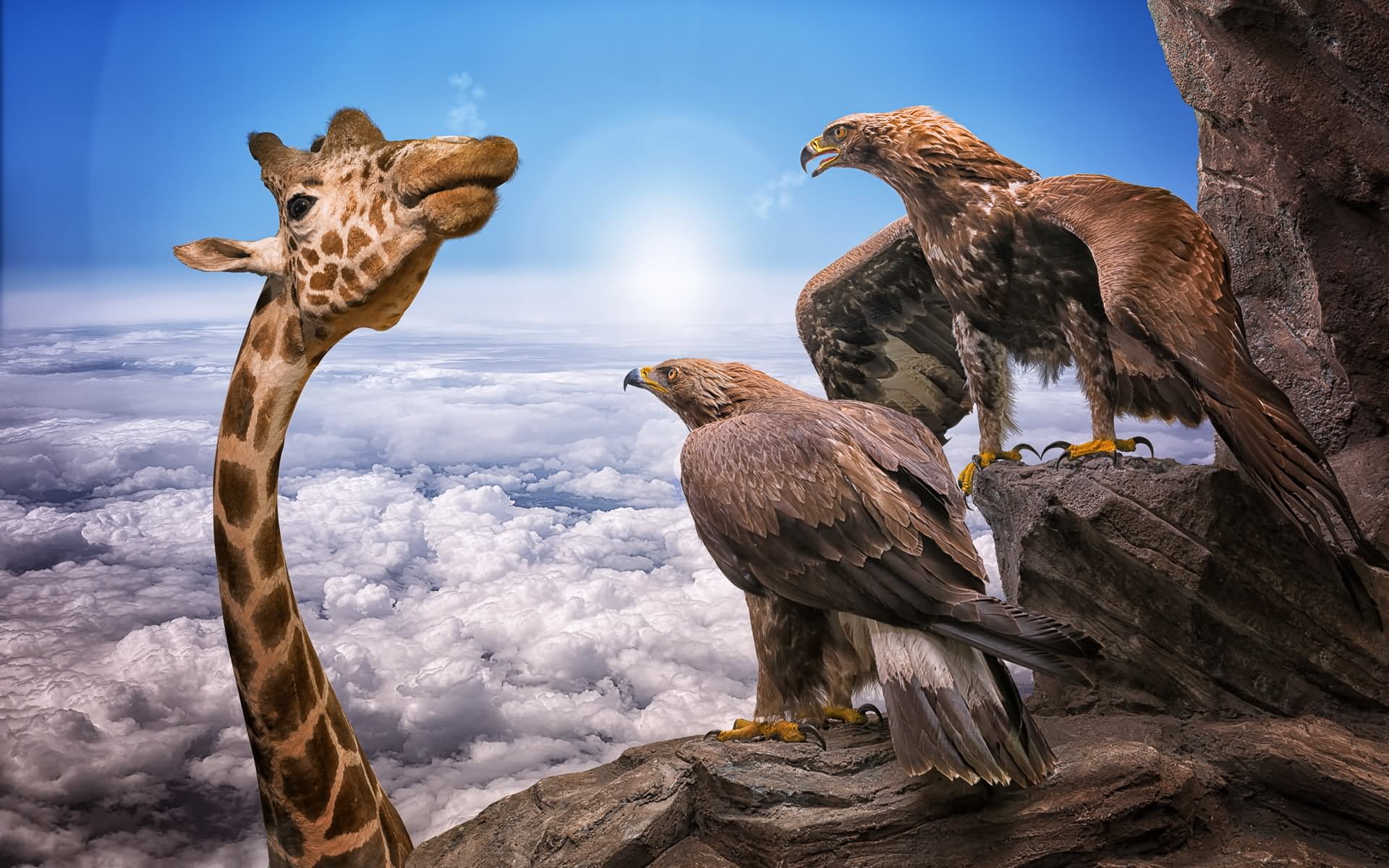 Giraffe Chatting With Eagles Funny Picture