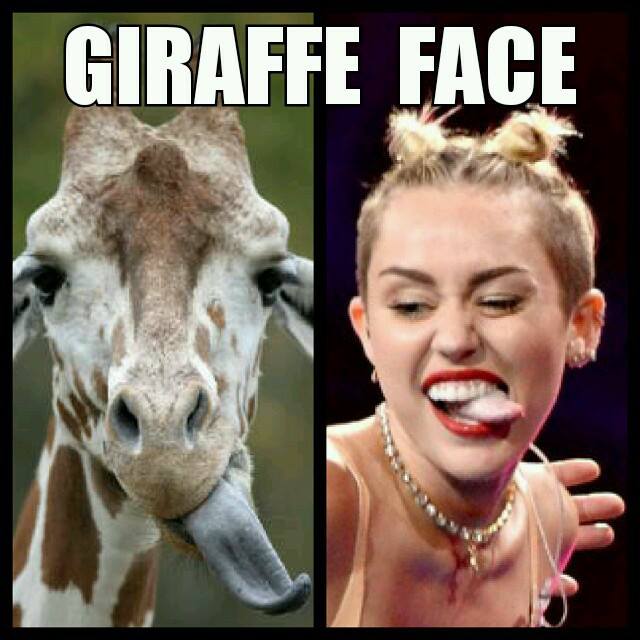Miley Cyrus And Giraffe Face Funny Picture