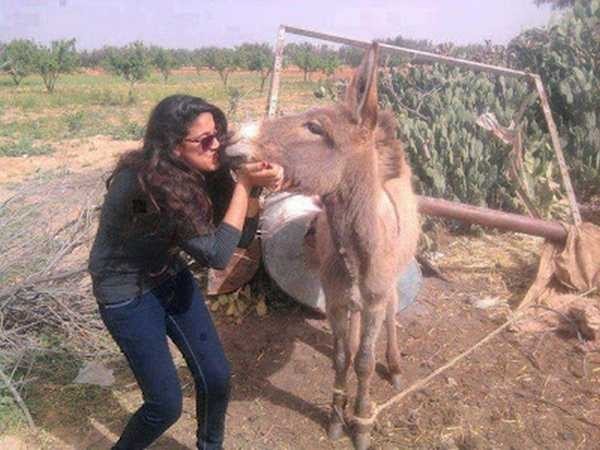 Girl Kissing Donkey Funny Image