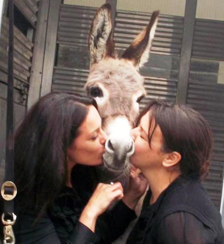 Girls Kissing Donkey Very Funny Picture