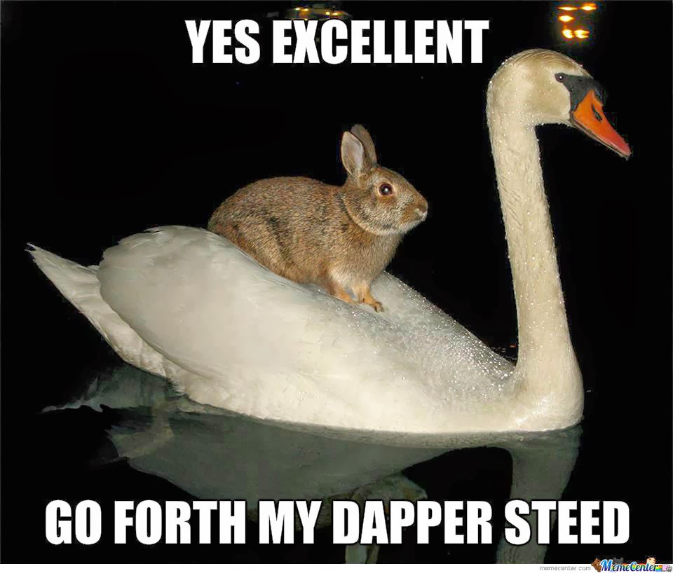 Go Forth My Dapper Steed Funny Rabbit Meme
