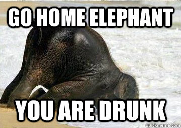 Go Home Elephant You Are Drunk Funny Elephant