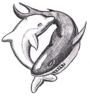 Grey Dolphin And Shark Yin Yang Tattoo Design