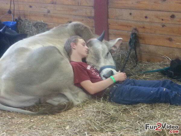 Guy Funny Sleeping With Animal