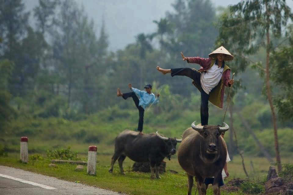 Guys Funny Dancing On Bull