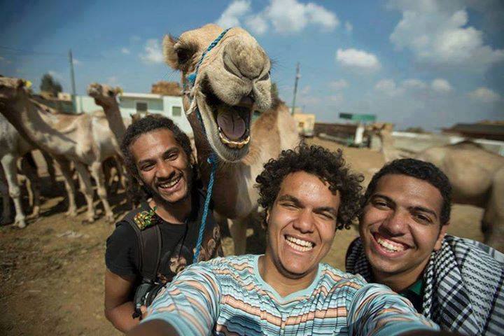 Guys Taking Selfie With Camel Funny Picture