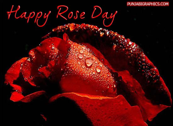 Happy Rose Day For My Love