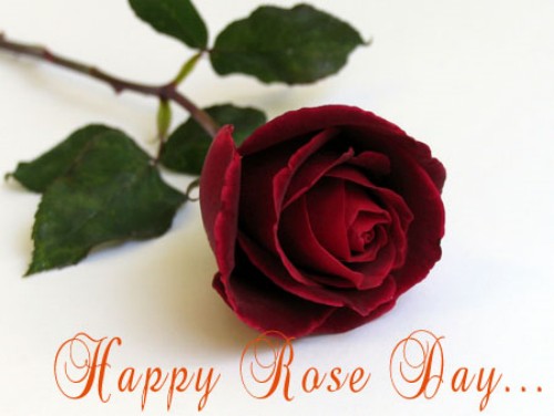 Happy Rose Day Rose Bud Picture