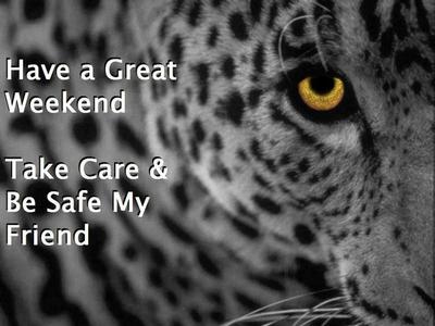 Have A Great Weekend Take Care & Be Safe My Friend