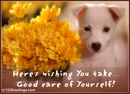 Here's Wishing You Take Good Care Of Yourself Cute Puppy