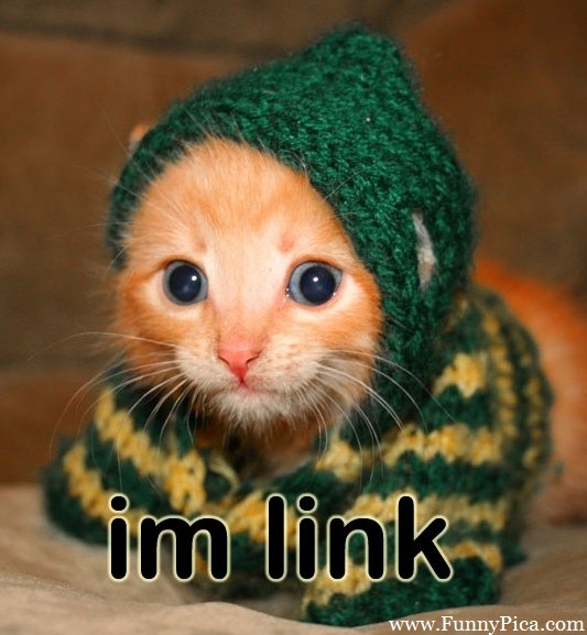I Am Link Funny Cat Image