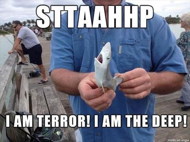 I Am Terror I Am The Deep Funny Shark Meme