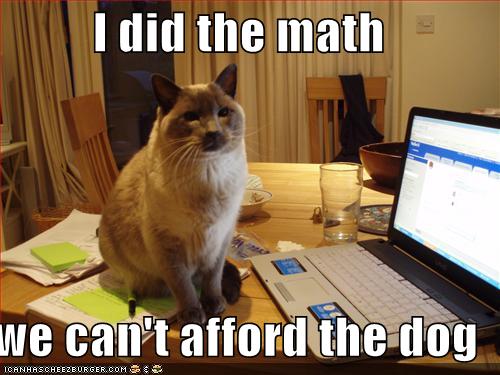 I Did The Math We Can't Afford The Dog Funny Cat Meme