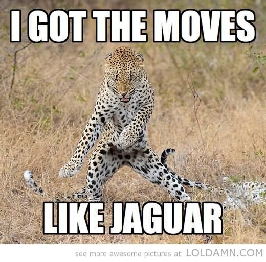 I Got Moves like Jaguar Funny Dance