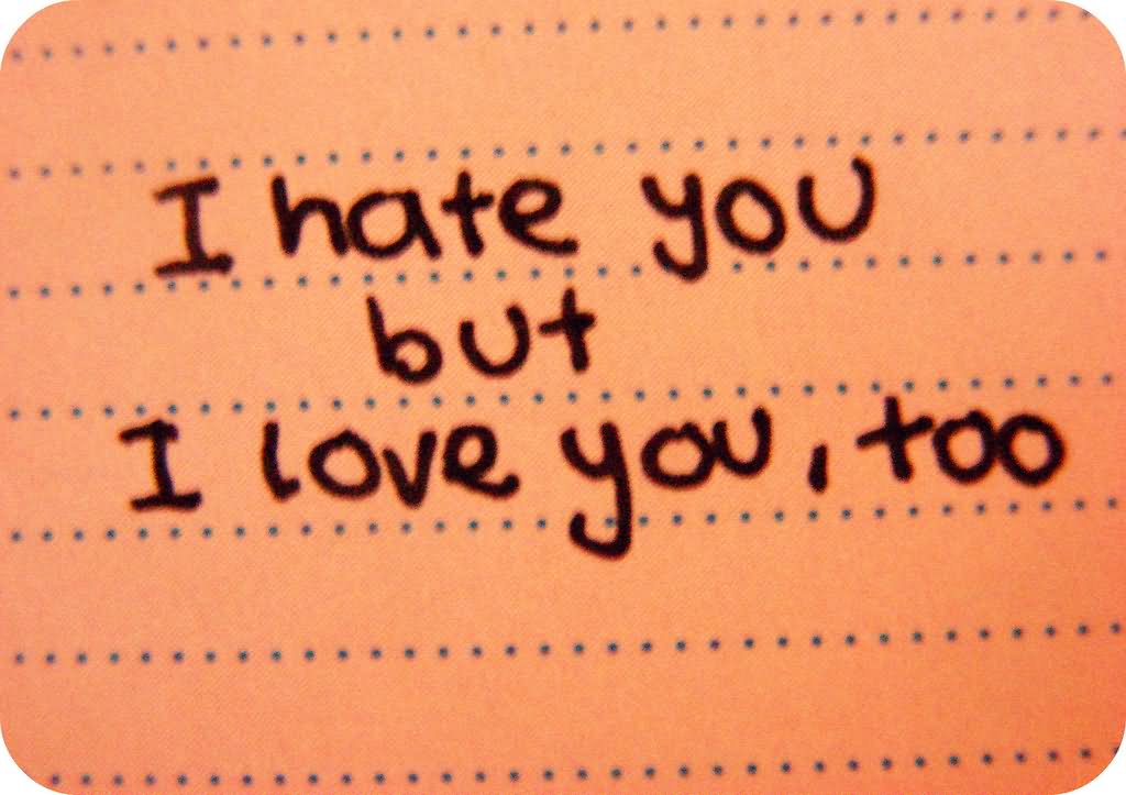 I Hate You But I Love You Too