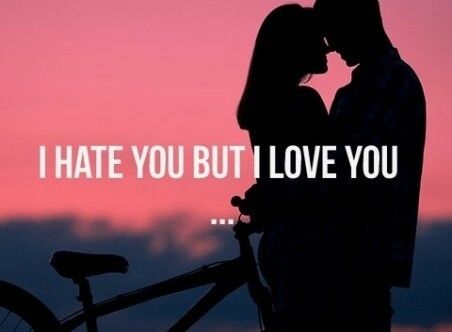 I Hate You But I Love You
