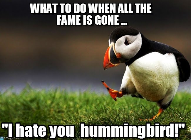 I Hate You Hummingbird