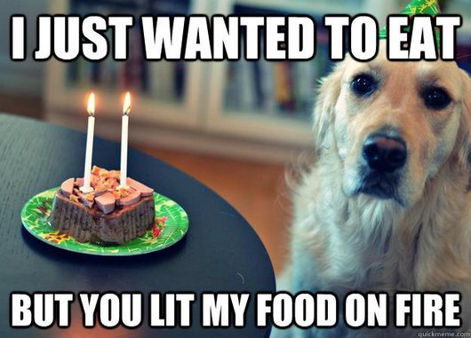 I Just Wanted To Eat But You Lit My Food On Fire Funny Dog Meme