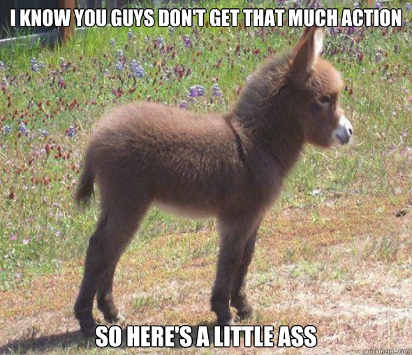 I Know You Guys don't Get That Much Action Funny Donkey Meme
