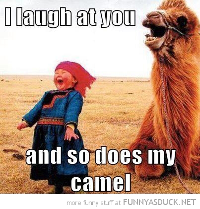 I-Laugh-At-You-And-so-Does-My-Camel-Funn