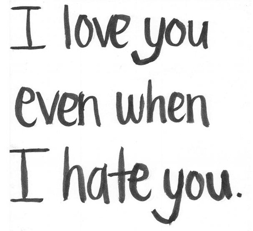 I Love You Even When I Hate You