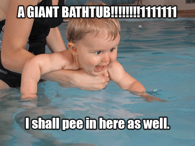 I Shell Pee In Here As Well Funny Swimming Meme