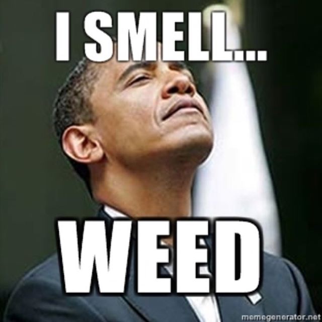 I Smell Weed Funny Obama Meme