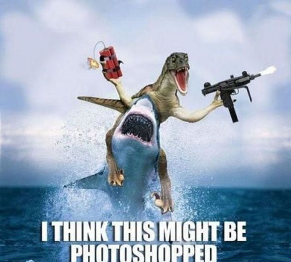 I Think This Might Be Funny Shark Photoshopped Image