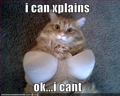 I Can Xplains Ok I  Can't Funny Cat