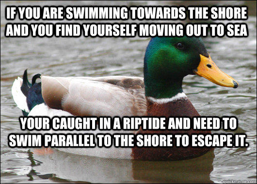 If You Are Swimming Towards The Shore Funny Meme