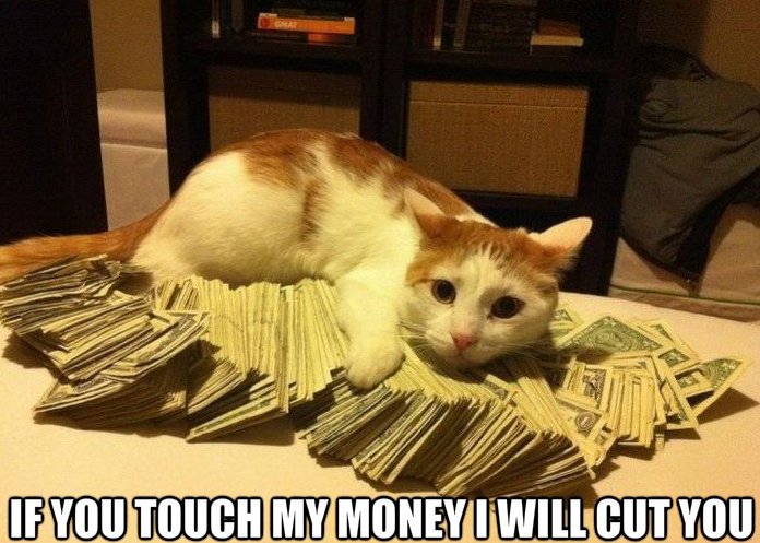 If You Touch My Money I Will Cut You Funny Cat Caption