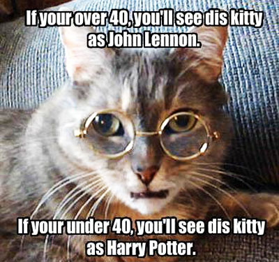 If Your Over 40 You Will See This Kitty As John Lennon Funny Cat Meme