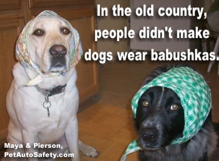 In The Old Country Funny Dog Meme