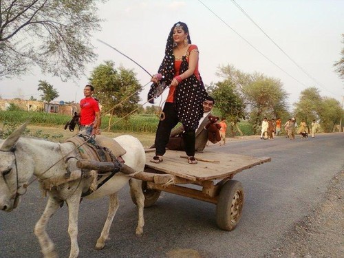 Indian Woman Riding Donkey Cart Funny Picture